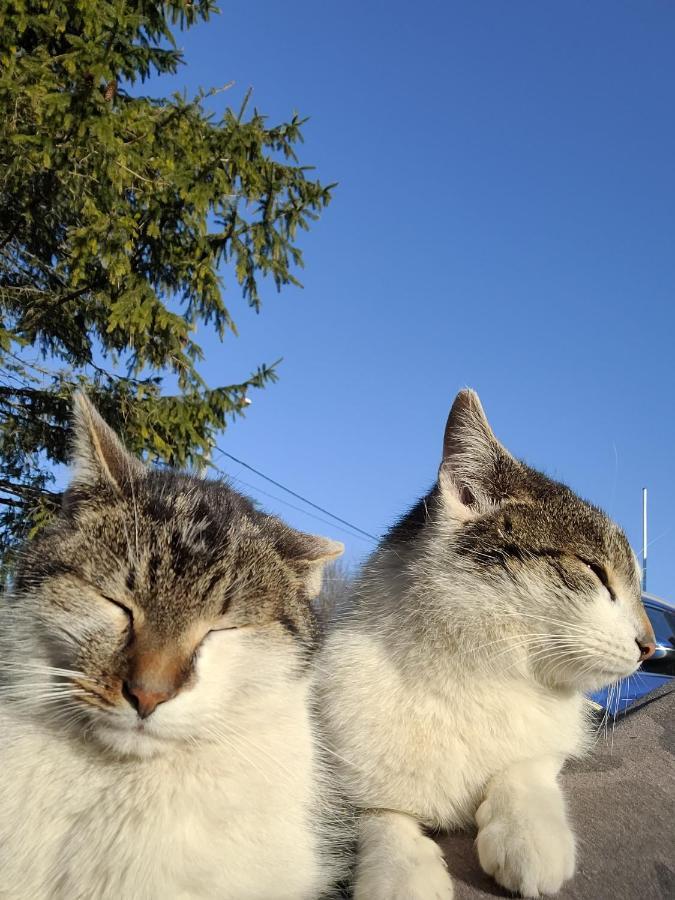 Uroczysko Skomackie Stare Juchy Exterior foto